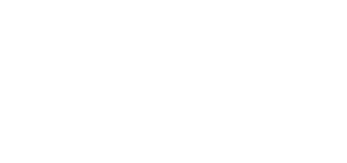 Pleasant Password Server logo