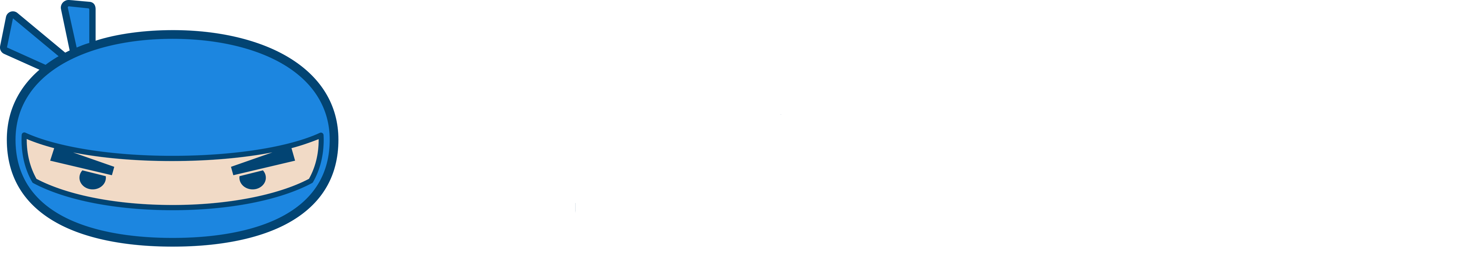 Reporting Ninja logo