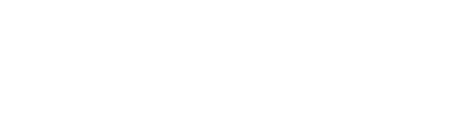 SpinBackup logo